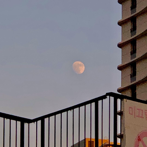 祥仔黄色直播视频
